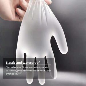 Disposable Vinyl Gloves